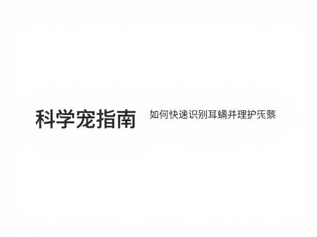 科学养宠指南,如何快速识别耳螨并正确护理宠物耳朵