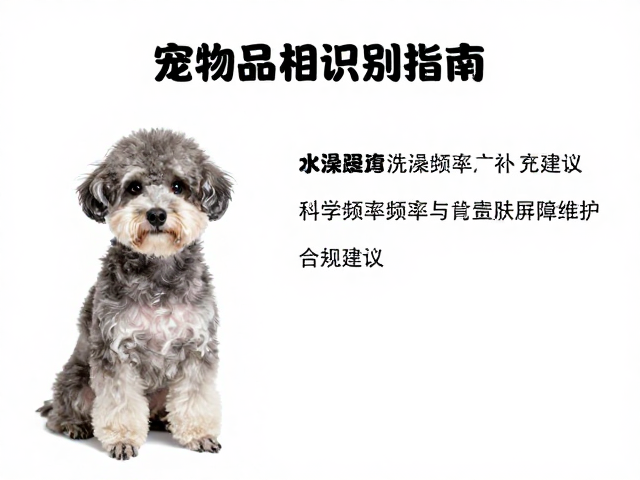宠物品相识别指南,洗澡频率与营养补充建议