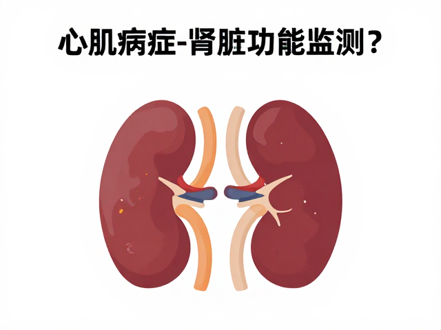 心肌病症伴肾脏功能监测,如何守护认知功能?