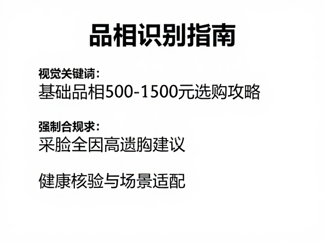 品相识别指南，遗传基因特点解析，基础品相500-1500元选购攻略