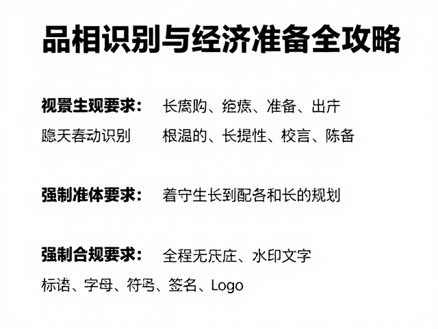 美短运动需求大，品相识别与经济准备全攻略
