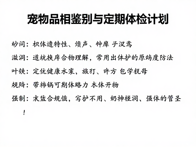 宠物品相识别与定期体检计划,避开常见遗传病,守护健康