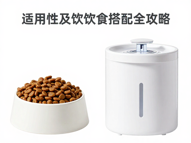 猫粮碗与水碗怎么分?饮水机适用性及饮食搭配全攻略