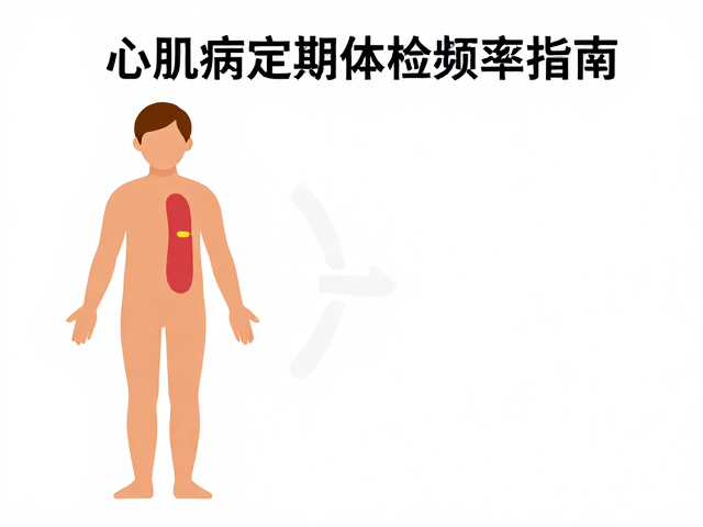 心肌病症定期体检频率指南,结合体重体态评估的健康监测方案