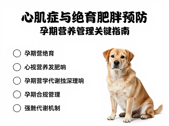 心肌病症与绝育后肥胖预防,孕期营养管理关键指南
