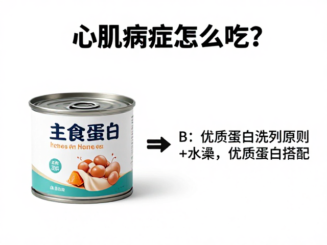 心肌病症怎么吃?主食罐头搭配与洗澡频率控制指南