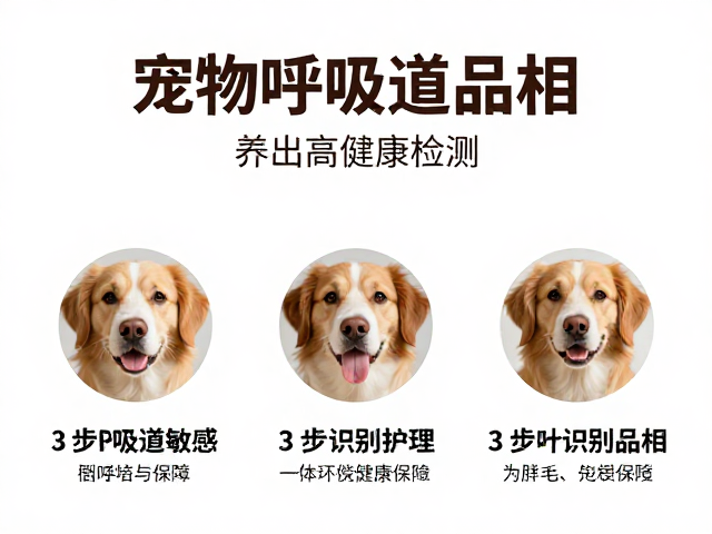 宠物呼吸道敏感,皮肤护理,3步精准识别品相,养出高颜值健康萌宠