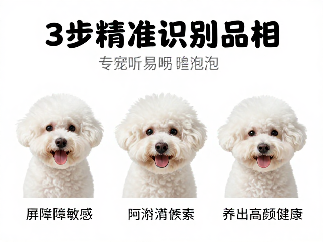 宠物呼吸道敏感,皮肤护理,3步精准识别品相,养出高颜值健康萌宠
