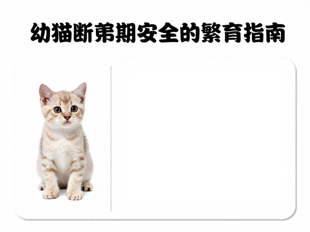 幼猫断奶期环境准备与配色繁育指南
