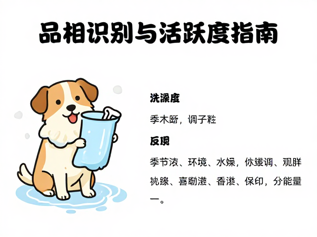 品相识别与活跃度指南,狗狗洗澡频率科学建议