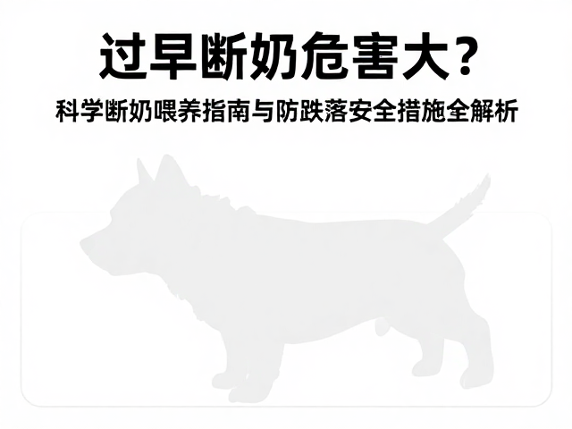 过早断奶危害大?科学断奶喂养指南与防跌落安全措施全解析