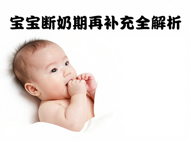 宝宝断奶期喂养攻略,恒温保暖与牛磺酸补充全解析