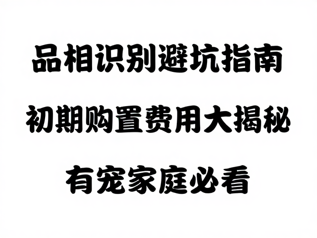 品相识别避坑指南,初期购置费用大揭秘,有宠家庭必看