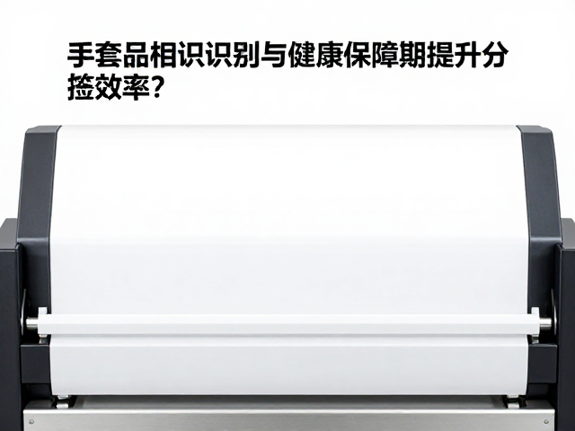 手套色选机如何通过品相识别与健康保障期提升分拣效率?