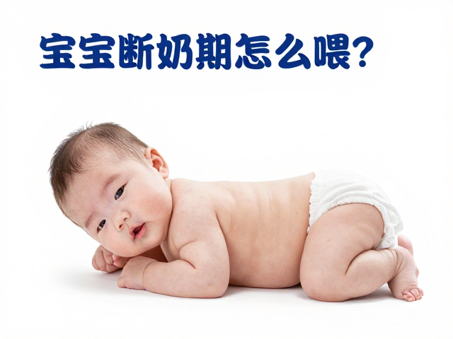 宝宝断奶期怎么喂?正向反馈,必需氨基酸,助力健康过渡