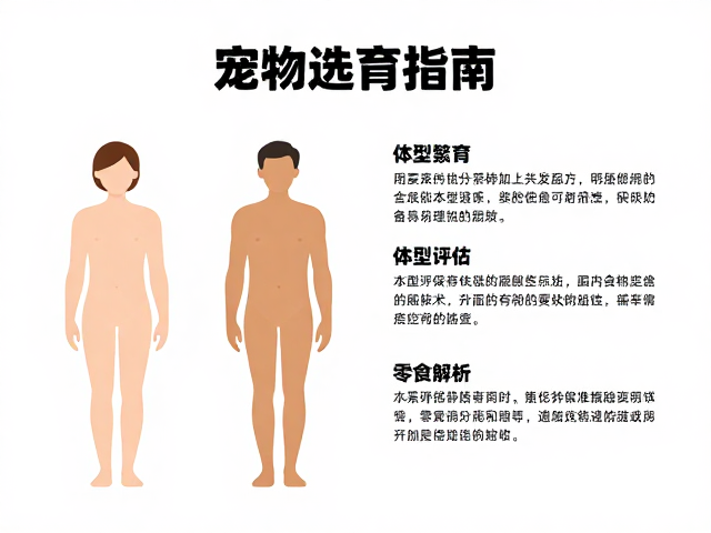 宠物选育指南,配色繁育、体型评估与零食控制全解析