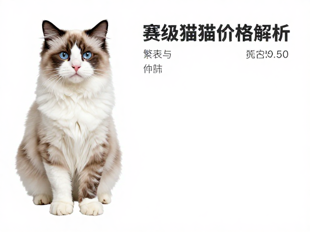 赛级大理石纹猫价格解析，配色繁育与花纹选购指南