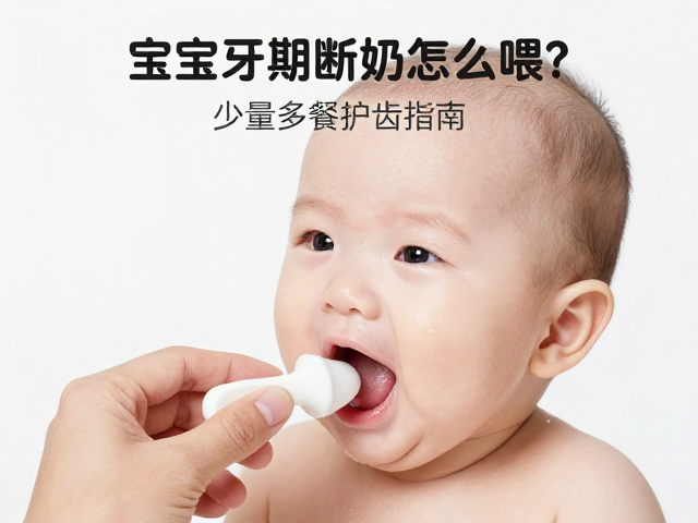 宝宝换牙期断奶怎么喂？少量多餐护齿指南