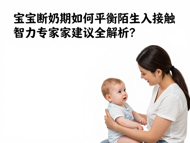 宝宝断奶期如何平衡陌生人接触与智力开发?专家建议全解析