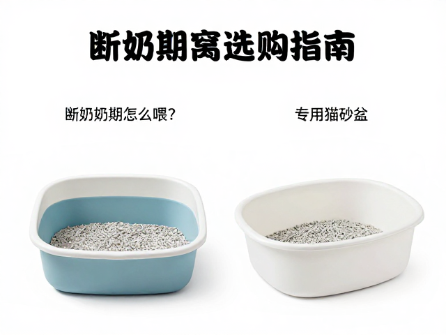 断奶期怎么喂？专用猫砂盆与舒适猫窝选购指南