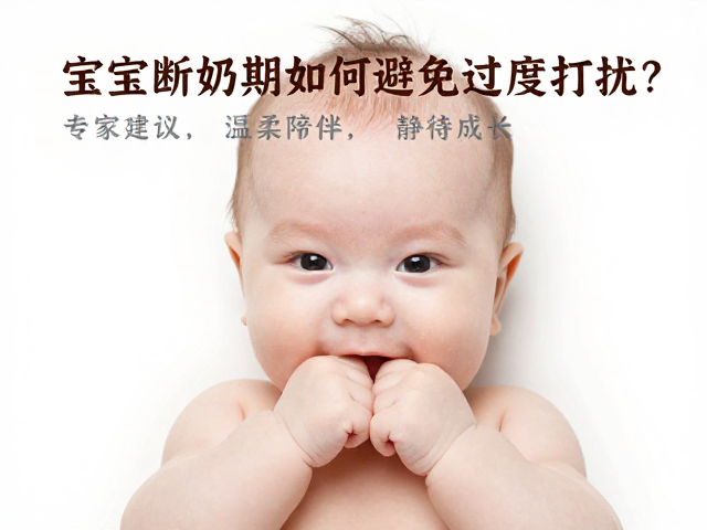 宝宝断奶期如何避免过度打扰?专家建议,温柔陪伴,静待成长