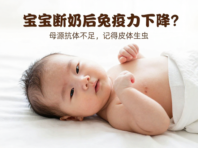宝宝断奶后免疫力下降?母源抗体不足,记得查皮肤寄生虫