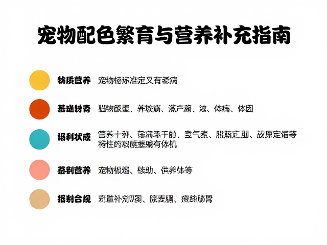品种标准化定义,宠物配色繁育与营养补充指南