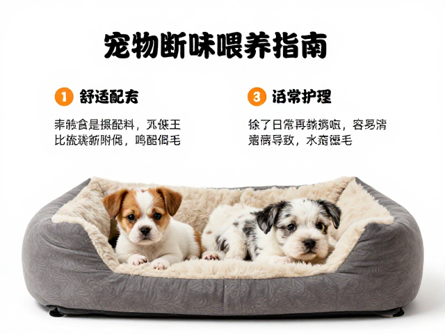 宠物断奶期喂养指南，舒适窝垫与日常梳毛护理全解析