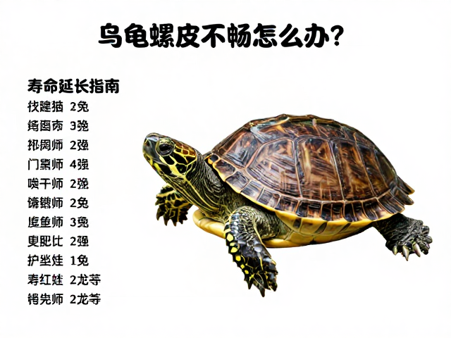 乌龟蜕皮不畅怎么办?全国地区价格差异大,寿命延长指南