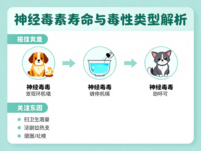 24-28℃恒温饲养指南,神经毒素宠物寿命与毒性类型全解析