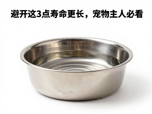 独居动物饮水盆放哪?避开这3点寿命更长,宠物主人必看