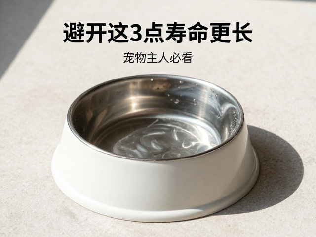 独居动物饮水盆放哪?避开这3点寿命更长,宠物主人必看