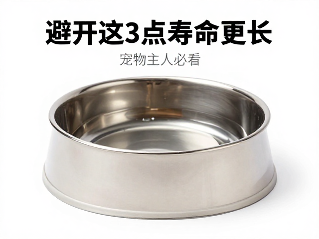 独居动物饮水盆放哪?避开这3点寿命更长,宠物主人必看