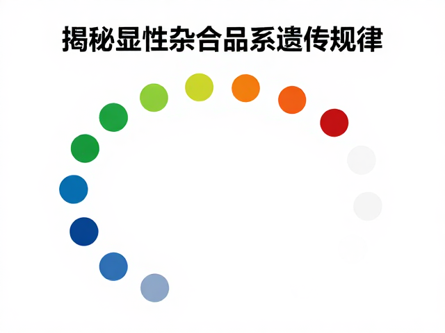 共显性与原色,揭秘显性杂合品系遗传规律