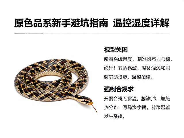 双基因幼蛇饲养环境,原色品系新手避坑指南与温控湿度详解