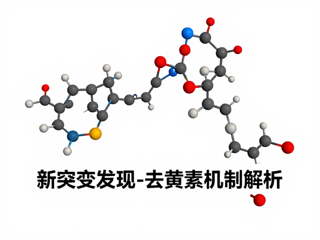 新突变发现,原色与axanthic去黄素机制解析