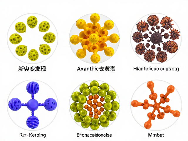 新突变发现,原色与axanthic去黄素机制解析