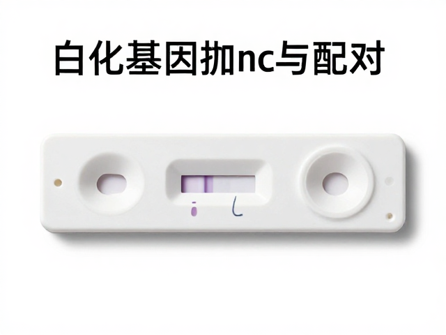 白化基因检测与配对,揭秘原色与albino的遗传逻辑