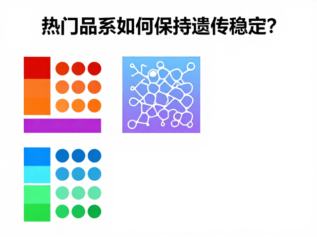 原色与颜色变异解析,热门品系如何保持遗传稳定?
