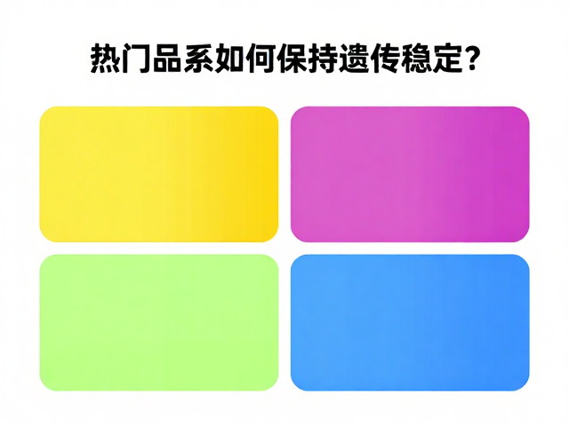 原色与颜色变异解析，热门品系如何保持遗传稳定？