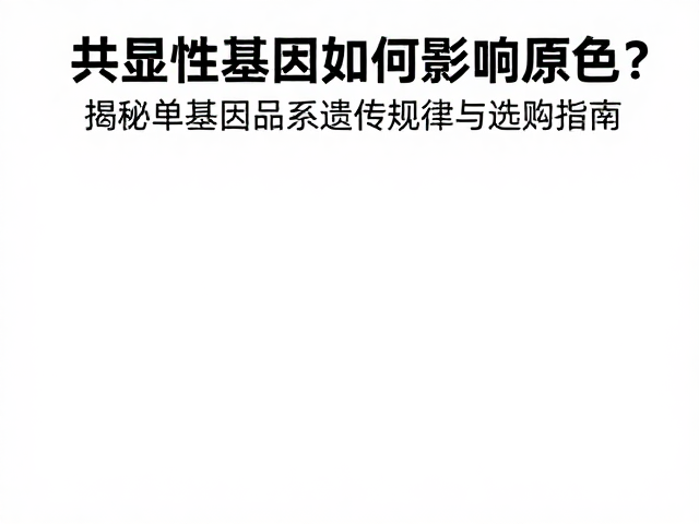 共显性基因如何影响原色？揭秘单基因品系遗传规律与选购指南