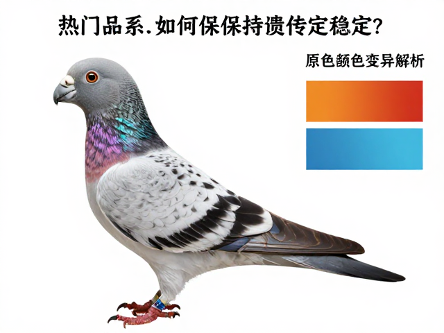 原色与颜色变异解析，热门品系如何保持遗传稳定？