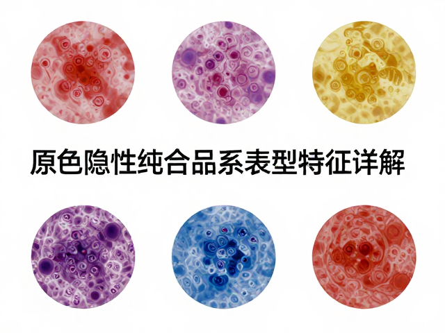 原色隐性纯合品系表型特征详解,科学鉴别与遗传规律解析