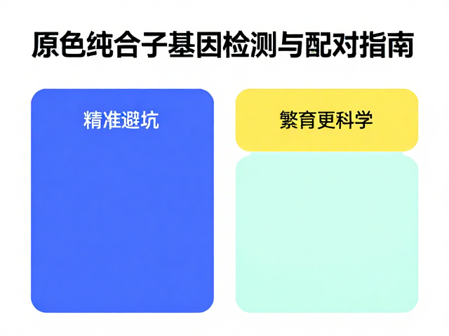 原色纯合子基因检测与配对指南,精准避坑,繁育更科学