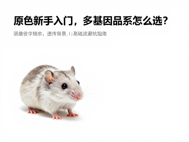 原色新手入门,多基因品系怎么选?高流量避坑指南