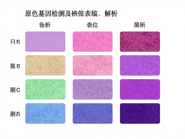 原色基因检测准确性,解析等位基因表达决定的色素与纹理模式