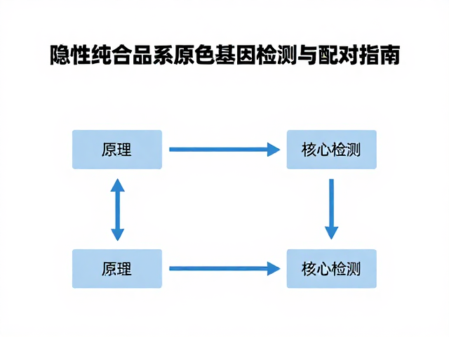 隐性纯合品系原色基因检测与配对指南
