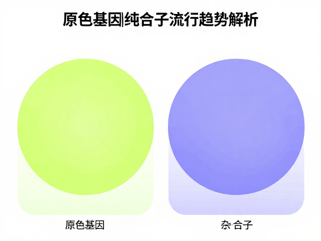 原色基因，纯合子与杂合子选择下的流行趋势解析