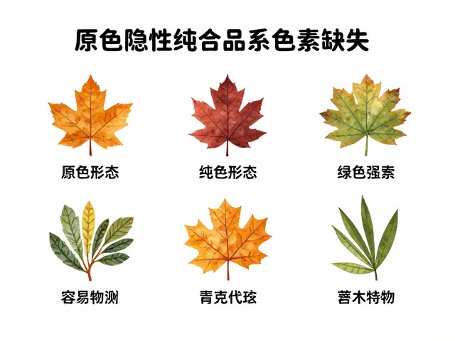 原色隐性纯合品系色素缺失,原理、特征与养护指南
