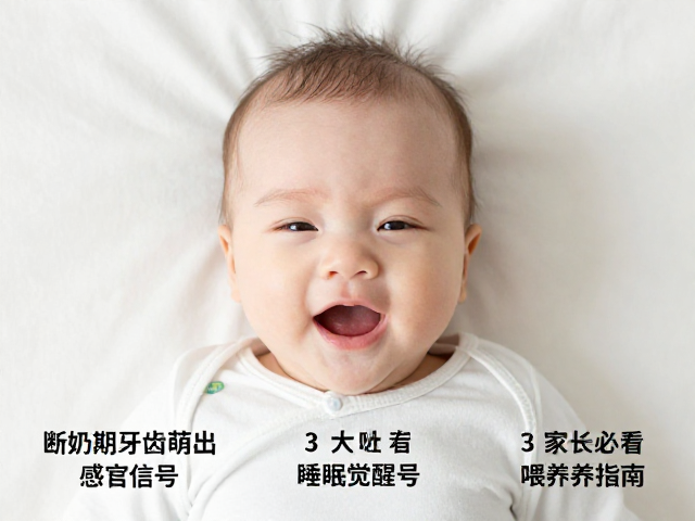 宝宝断奶期牙齿萌出?3大感官觉醒信号,家长必看喂养指南